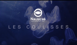 Coulisses Nausicaà