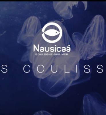 Coulisses Nausicaà