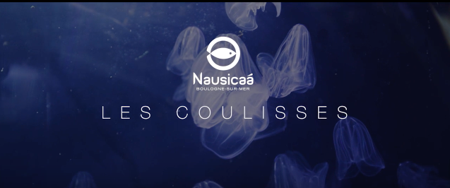 Coulisses Nausicaà