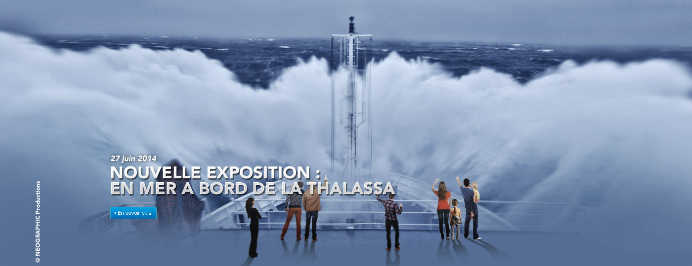 Exposition Thalassa